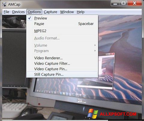 Ảnh chụp màn hình AMCap cho Windows XP