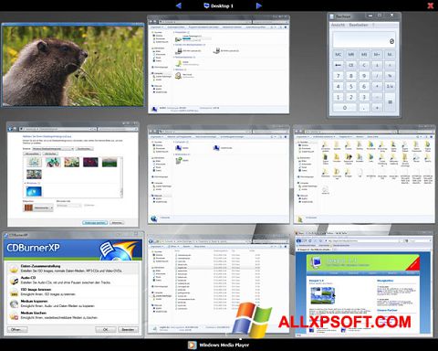 Ảnh chụp màn hình Dexpot cho Windows XP