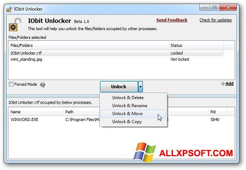 Ảnh chụp màn hình IObit Unlocker cho Windows XP
